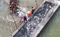 新华视点丨生态赋能秋收 江淮大地丰产又富民