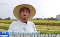 视频丨截至6月末 全国粮食重点领域贷款余额同比增15.81%