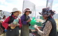 当田野褪去麦浪,一场生产备战开始了……
