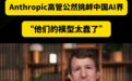 Anthropic联合创始人:中国AI落后西方半年 他们的模型太蠢了