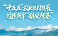 粮食产能提高到1.45万亿斤左右!“十五五”农业农村发展这样筑牢“粮安根基”