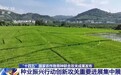 视频丨90项种业振兴行动创新攻关重要进展集中展示