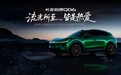 设计重新成为竞争焦点,长安启源Q06正式亮相