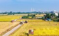 文化中国行丨二十四节气说:人间霜降,秋日终章
