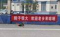 县派出所大院可以晒粮!