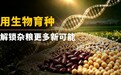 用生物育种解锁杂粮更多新可能
