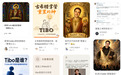 重置之神Tibo:Codex真的有一个重置按钮,实体的
