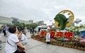 快看!“江豚”游进汉口火车站广场