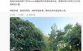 库克再度开启中国之行首站落地广州:利用苹果iPhone 18 Pro手机拍摄非遗咏春作品
