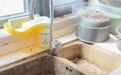 租客搬走后,把12岁儿子留下独居一年,“屋里都发霉了”