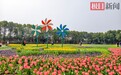 六十万株郁金香次第绽放,武汉东西湖郁金香主题公园开园,这场花海盛宴不容错过