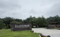 生态吉林|北纬42°的植物宝库