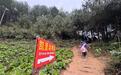 “史上最寒酸”凯里动物园迎来建园以来第一个旅行团,园长:这是新的开端