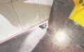 男子被毒蛇咬伤竟浑然不觉 一通“及时电话”救了一命