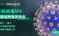 助力尼帕病毒药物与疫苗研发:义翘神推出系列核心科研试剂