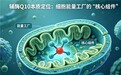 护心辅酶Q10哪个牌子好?2026辅酶Q10十大品牌横向测评