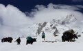 52岁登山者在珠峰失联一周后奇迹生还,家人甚至为其举行葬礼