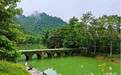 何以中国·青绿人间丨“地球绿宝石”的碳答卷:解锁生态发展密码