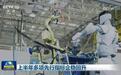 上半年多项先行指标企稳回升