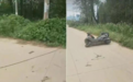 司机补路后“拉绳警示”致过路女子被勒身亡 死者亲友称是一根电缆线 镇政府:司机被批捕