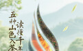 送你一杯景迈山特调