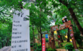登高龟蒙共赴福寿山河之旅 沂蒙山龟蒙景区秋日系列活动正式启幕