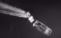 想靠冷战时期武器级钚解决电力短缺问题?“大量风险要由美国纳税人买单”