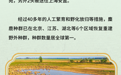 开局之年看中国·潮涌荆楚|长江故道长出全球最大野生麋鹿种群