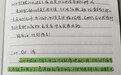 “记不清第几次被勒脖子了”,女护士遭男友杀害案二审开庭,生前日记还原暴力细节