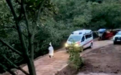 老人上山放羊疑遭黑熊袭击身亡 当地:被找到时已无生命体征,死因有待最终鉴定