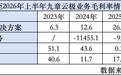 巨头“卷”算力,九章云极凭什么上桌?