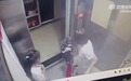 女孩夸自行车漂亮,伸手摸了下车把,遭女车主掌掴致脸部红肿