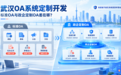 武汉OA系统定制开发:标准OA与政企定制OA差在哪?