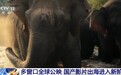 视频丨国产影片出海进入新阶段 科技赋能拓展传播新空间