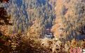 深秋美拉德色系藏在“陇右名山”的风景里