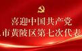 喜迎党代会|黄陂五年・产业筑基