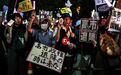 上任半月就曝丑闻!高市早苗智囊身陷“预算门”