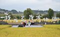 追光|“运动潮”里话丰年,听取“哇”声一片