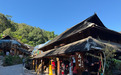 行进中国|云南景迈山:千年茶山 年年有新事