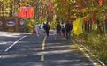 三条精品线路开启山野秋约,通河“天然大氧吧”醉游人