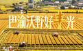 万花瞳|巴渝沃野好“丰”光
