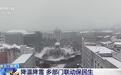 鹤岗大雪!多部门凌晨联动清雪保通