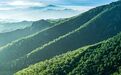 首批全国林草碳汇试点典型案例发布 包头市榜上有名