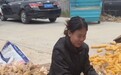 亚运会夺银的李春辉,国庆回家也得掰苞米,经纪人:她从小懂事,经常帮父母干农活