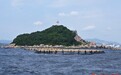 返乡牧海建粮仓