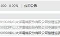 大洋电机宣布终止H股发行 招股书已失效数月,公司回应:短期内无再融资需求