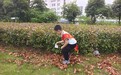 幼儿园的小朋友,户外实操垃圾分类