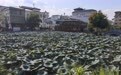 在“红军村”听“红色主讲人”话峥嵘