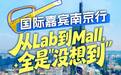 视频 | 行走金陵读懂中国 国际嘉宾沉浸式感受南京多元魅力