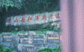 跟着课本走长征|雄关如铁从头越 苍山如海映初心